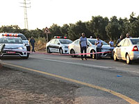 На севере в аварию попал юноша, ехавший верхом на лошади, на юге – машиной сбит пешеход