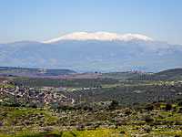 Из-за выборов заморожено строительство поселка имени Дональда Трампа