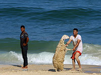 Побережье Газы: реальность 