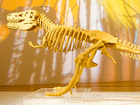 Крупнейшая в мире выставка LEGO The Art of the Brick приезжает в Израиль 