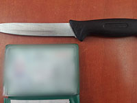 Подано обвинение против жительницы Дженина, планировавшей теракт в Иерусалиме