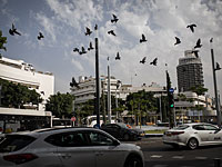 Мэрия Тель-Авива утвердила повышение стоимости развозок в межрайонные школы