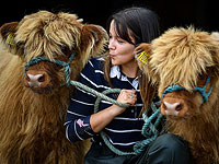 Royal Highland Show: лучшие буренки и барашки Шотландии. Фоторепортаж