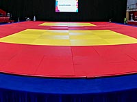 Европейские игры. Результаты израильских дзюдоистов