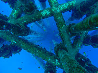 Министерство нефти Сирии сообщило о повреждении трубопровода в Средиземном море