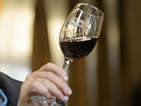 В России усилят контроль за ввозом спиртного из Грузии 