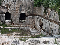 Франция открыла для посетителей