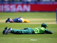 Крикет. Рой пчел прервал матч чемпионата мира