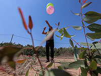 Несмотря на 