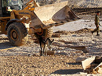 Протесты во время сноса незаконного здания в Бейт-Шемеше, ранен сотрудник полиции