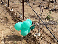 Сообщение об 