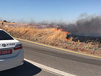 Возгорание травы и кустарника в мошаве Маген