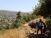 Ночь застала туристов в русле ручья Амуд. Вызваны спасатели