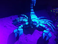 Биомимикрия – что это такое?