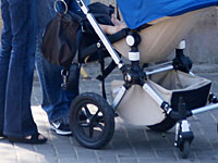 Сотрудники 