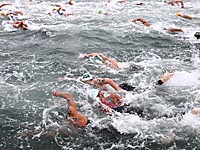 Чемпионат мира. В заплыве на 5 км победил венгр, израильтянин на 19-м месте