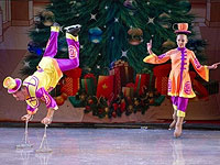 Цирк на льду.