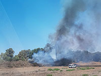 Вновь возник пожар на стыке 2-й и 5-й трасс на севере Тель-Авива