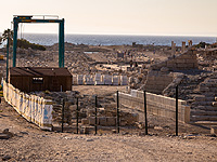 В центральной Турции обнаружены окаменелости возрастом около 7,5 млн лет