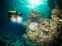 Обнаружена французская подлодка