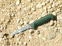 17-летний подросток обвиняется в попытке теракта на севере страны
