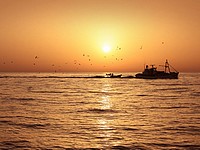 КНДР задержала российское рыболовецкое судно с 17 моряками на борту