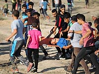 ПИЦ: участник 