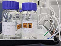 Американский баскетболист провалил допинг-тест, сдав мочу беременной подруги