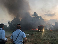 В центре Израиля горят сухая трава и кустарник