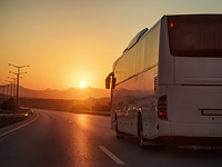 Автобус упал с обрыва под Новороссийском, есть жертвы