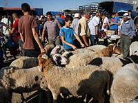 Для участников Хаджа приготовлен миллион жертвенных баранов  