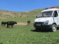 Штурм резиденции бывшего главы правительства Киргизии окончен: Атамбаев сдался