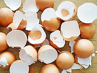 Ученые научились делать автозапчасти из томатной кожуры и яичной скорлупы