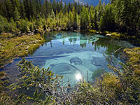 В лесу найден пропавший три дня назад Коля Бархатов: его искали 800 человек