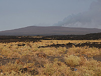 21-летняя израильтянка пропала в Эфиопии во время путешествия