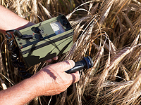 The New York Times: Станции ядерного мониторинга отключены, объяснения России меняются