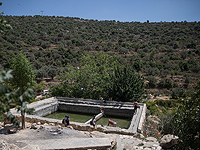 Теракт около поселка Долев: убита девушка, ее отец и брат тяжело ранены