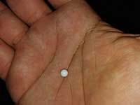 Инцидент со стрельбой во время мероприятия 