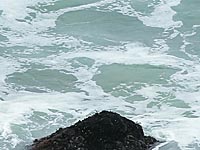 Чемпион и рекордсмен мира по плаванию в холодной воде погиб во время тренировки в Енисее