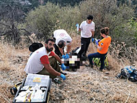 11-летний мальчик спас отца, потерявшего сознание в походе
