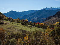 В Испании погиб Суф Адлер из Рамат а-Шарона