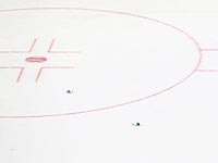 В Новосибирске во время матча болельщики избили хоккеиста