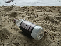 В организме почти всех детей обнаружены пластификаторы