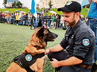 На чемпионате среди таможенных собак израильтянка взяла золото за поиск денег