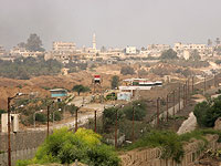 В Рафахе вновь открылся зоопарк, защитники природы возмущены