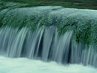 Минздрав просит воздержаться от купания в реках и водоемах на севере Израиля