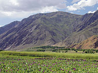 В горах Памира спасены четверо израильтян, просивших о помощи