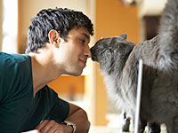 Кошки более привязаны к человеку, чем предполагалось