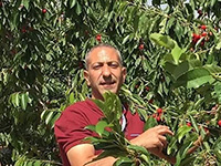 Арабские парламентарии требуют расследовать методы допроса убийцы Рины Шнерб