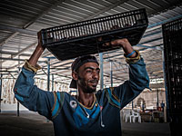 СМИ: Израиль негласно увеличил квоту на рабочие лицензии для жителей Газы